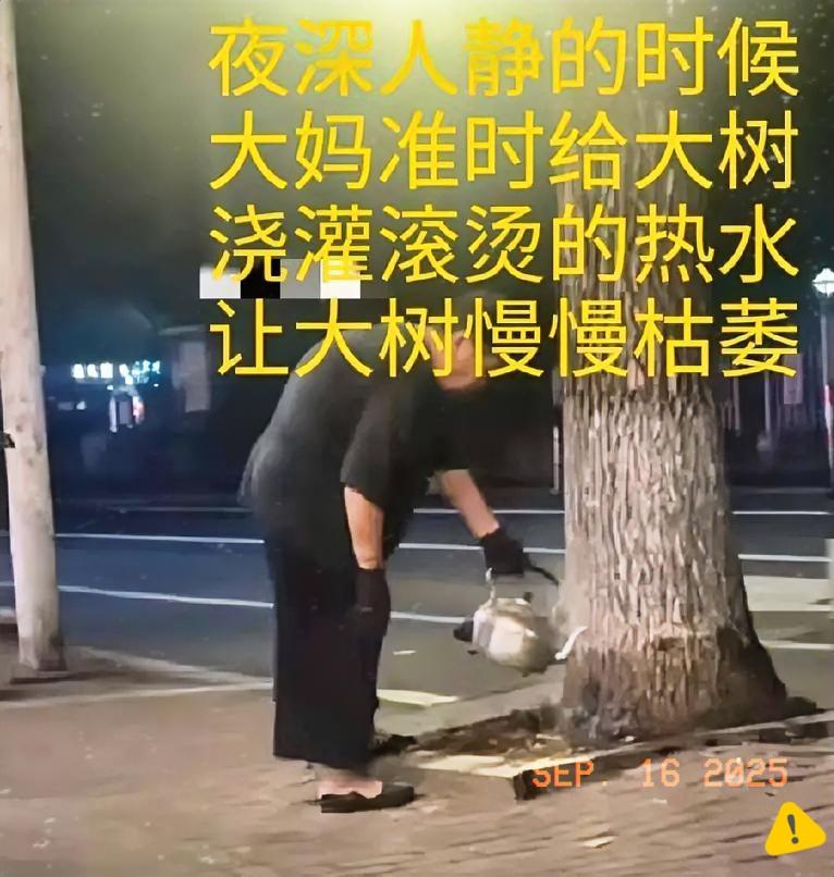 你们就说这做法违不违法吧沈阳和平区南八马路上发生一起奇葩事件。一位大妈居
