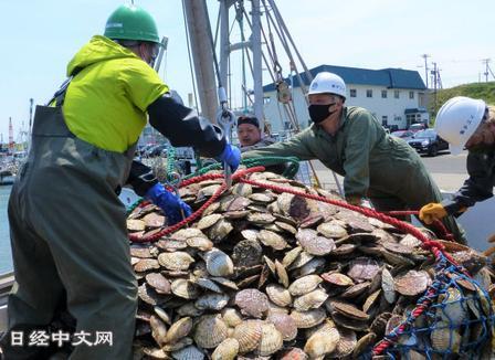 不出意外，果然被我猜中了！日本连六个"不怕"都摆出来了，这根本不是赌！日本