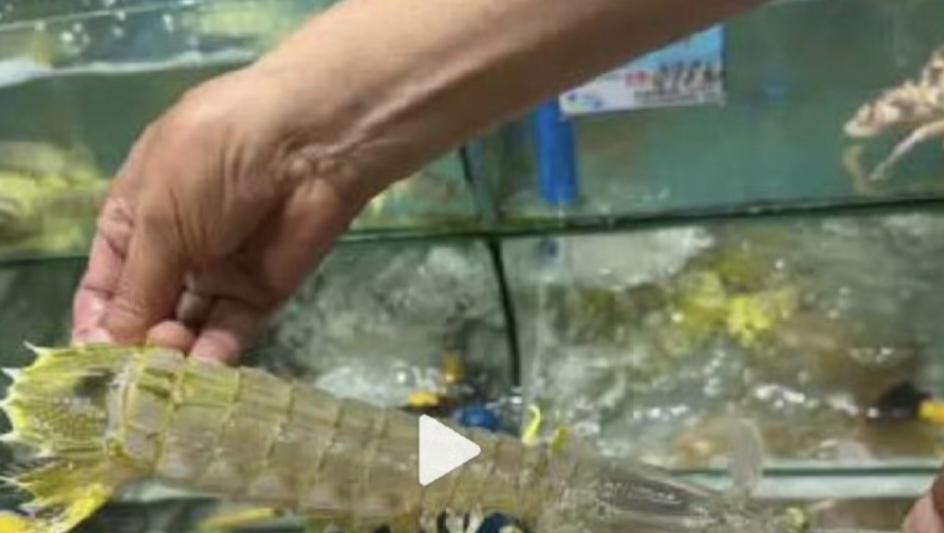 看完4只皮皮虾1035元价格事件后，有种荒唐的感觉。经过市监局调查后，4只皮