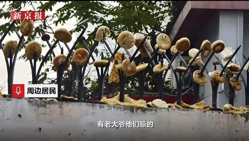 天津一小区发生一件奇葩事,你绝对想不到。一大爷经常捡一些饼子之类的食物,插铁栏杆
