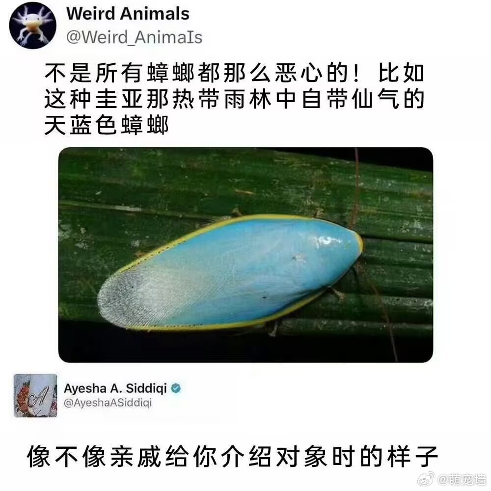 我笑晕了​​​