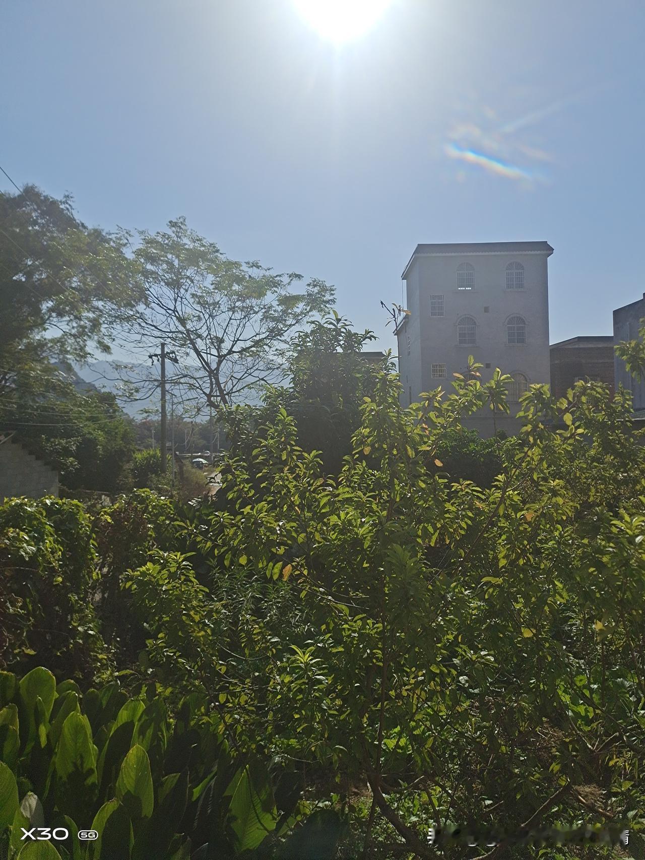 清晨的阳光不偏不倚，刚好落在窗台那盆绿萝上——你看，连植物都在努力向上生长呢。生