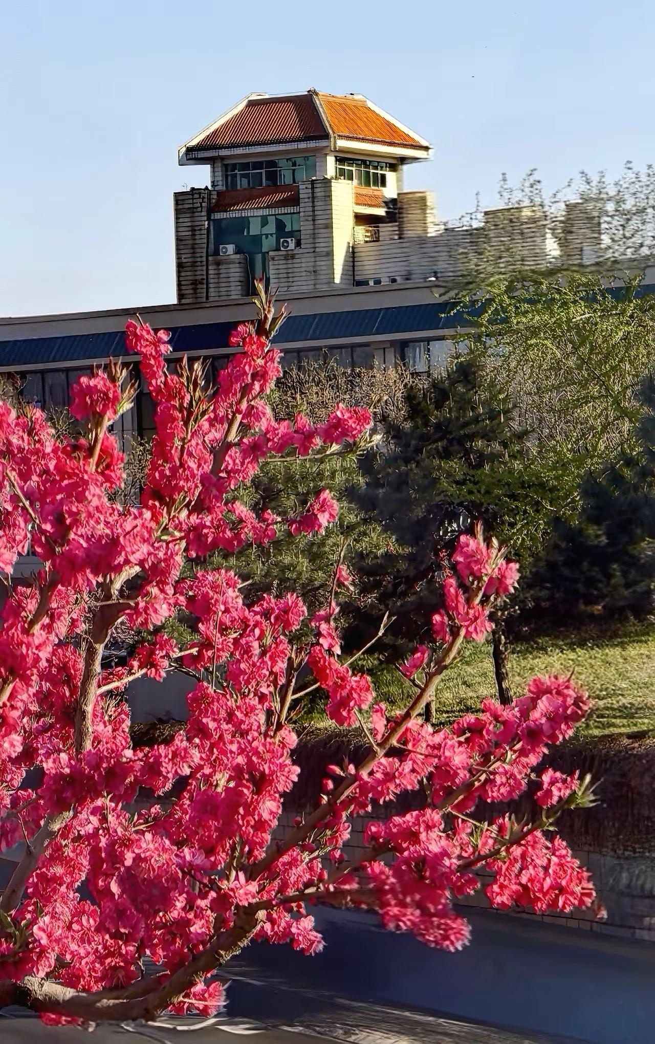 朋友间最舒服的关系1. 不远不近，互不打扰不用天天聊天，不必时刻联系，有