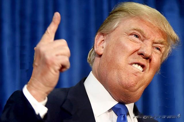 这回算是看明白了，特朗普是真的急了，根本不给留面子。12月15日柏林这场