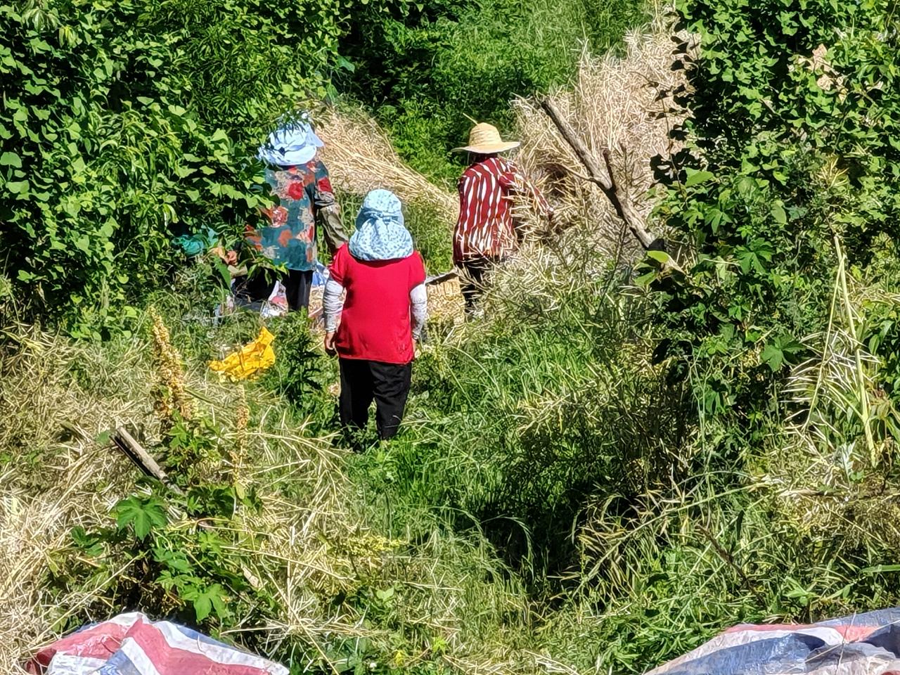 现在知道为啥男人比女人死得早了，即使在农村也是一样。今天我请了5个村民来我农场