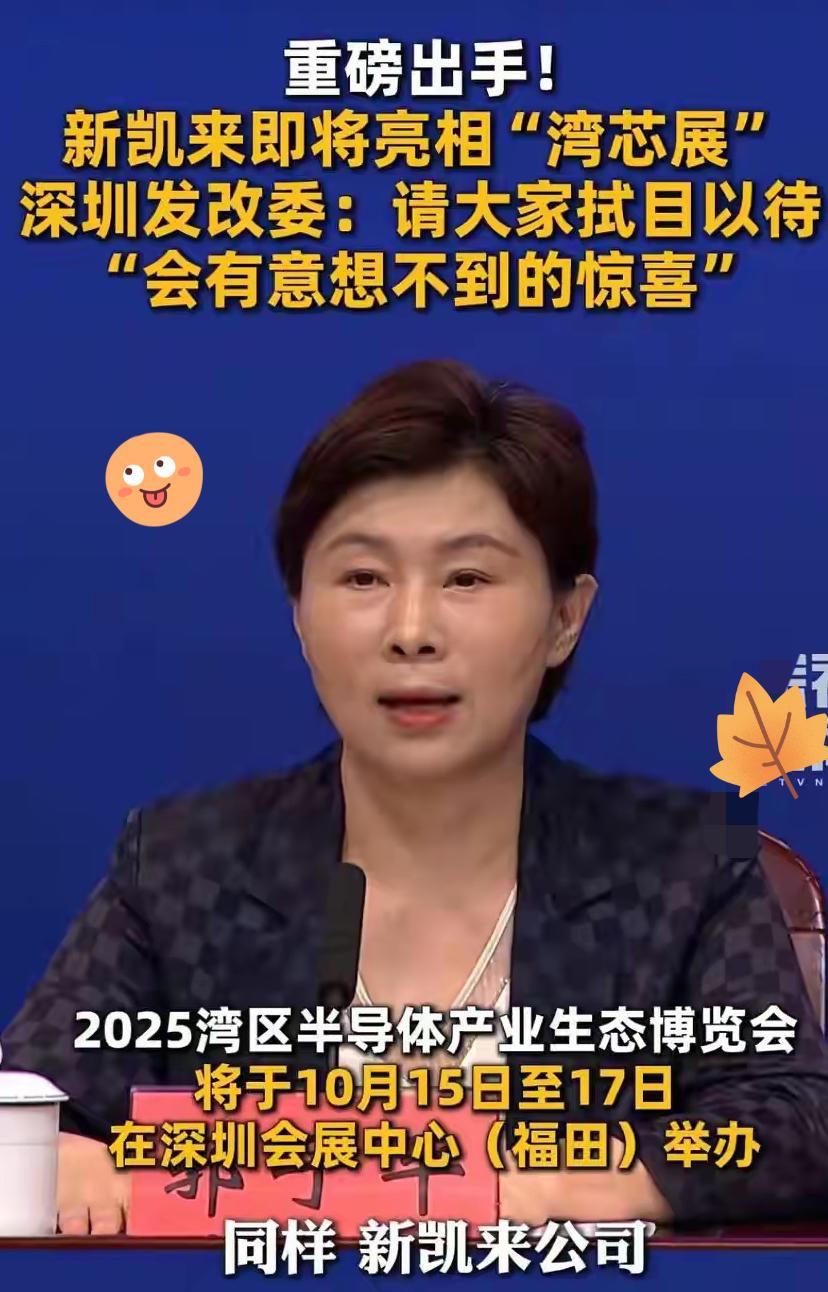 稀土管制、查高通只是前戏？新凯来这步棋，才是国产半导体的真底气！别再只盯