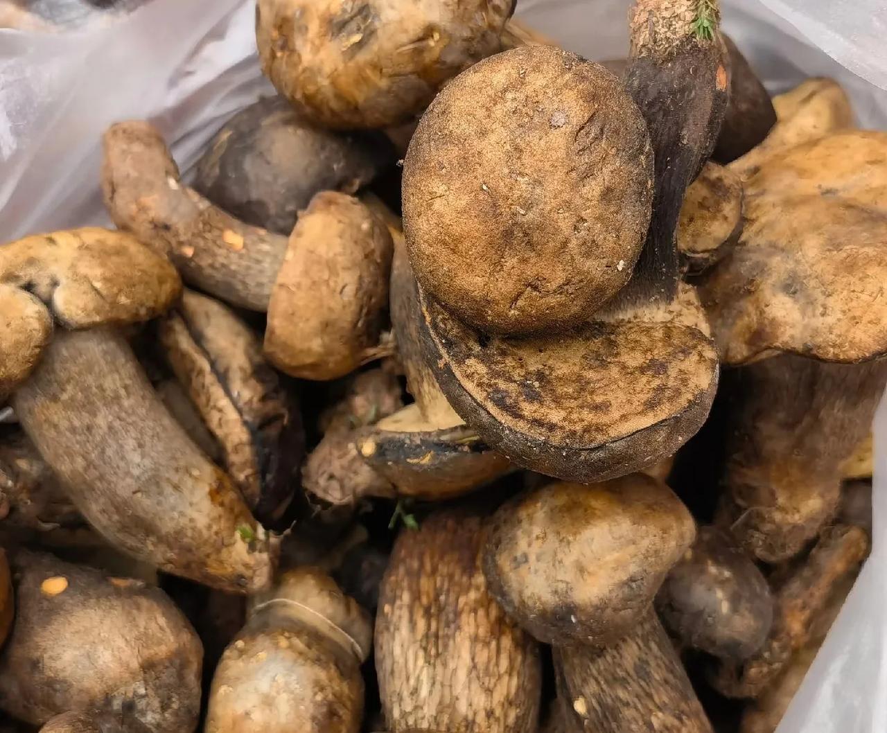 俄罗斯石油慢慢卖不出去了，这才是美国和欧盟的底气，谁敢买就制裁谁，印度不行，我们