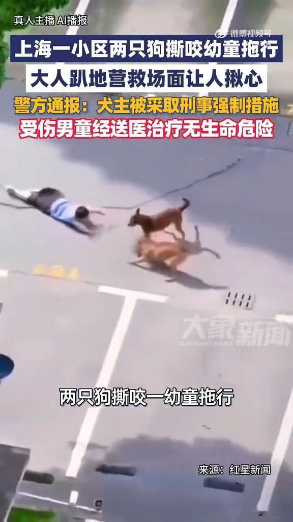 恶犬伤人，狗主人被收押，这样的惨剧到底透露出多少问题？说是这两只恶犬疑似从其