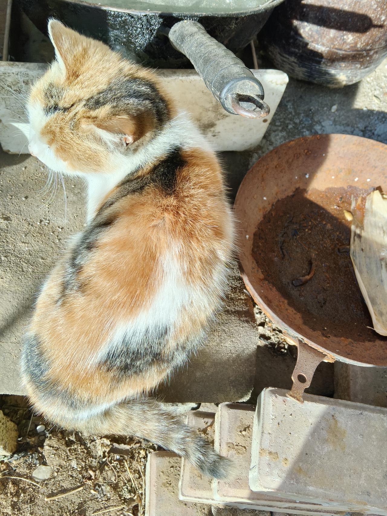 澳洲的物价到底高不高？表弟从澳洲回来过年，他是十几年前去那里留学，现在留在