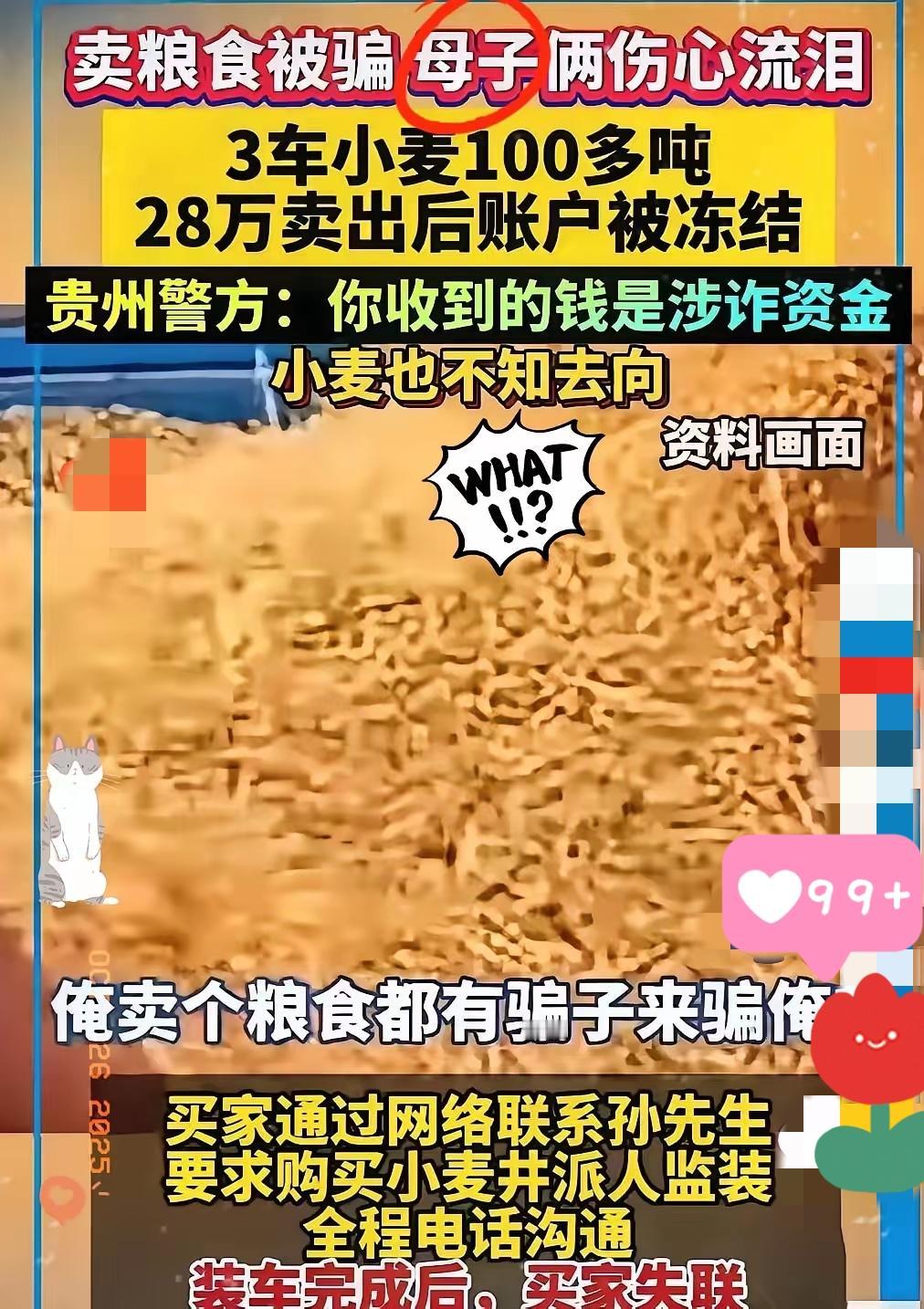 卖粮被骗还被冻结账户，这哪儿是维权，分明是老实人遭了“双重暴击”！骗子这波