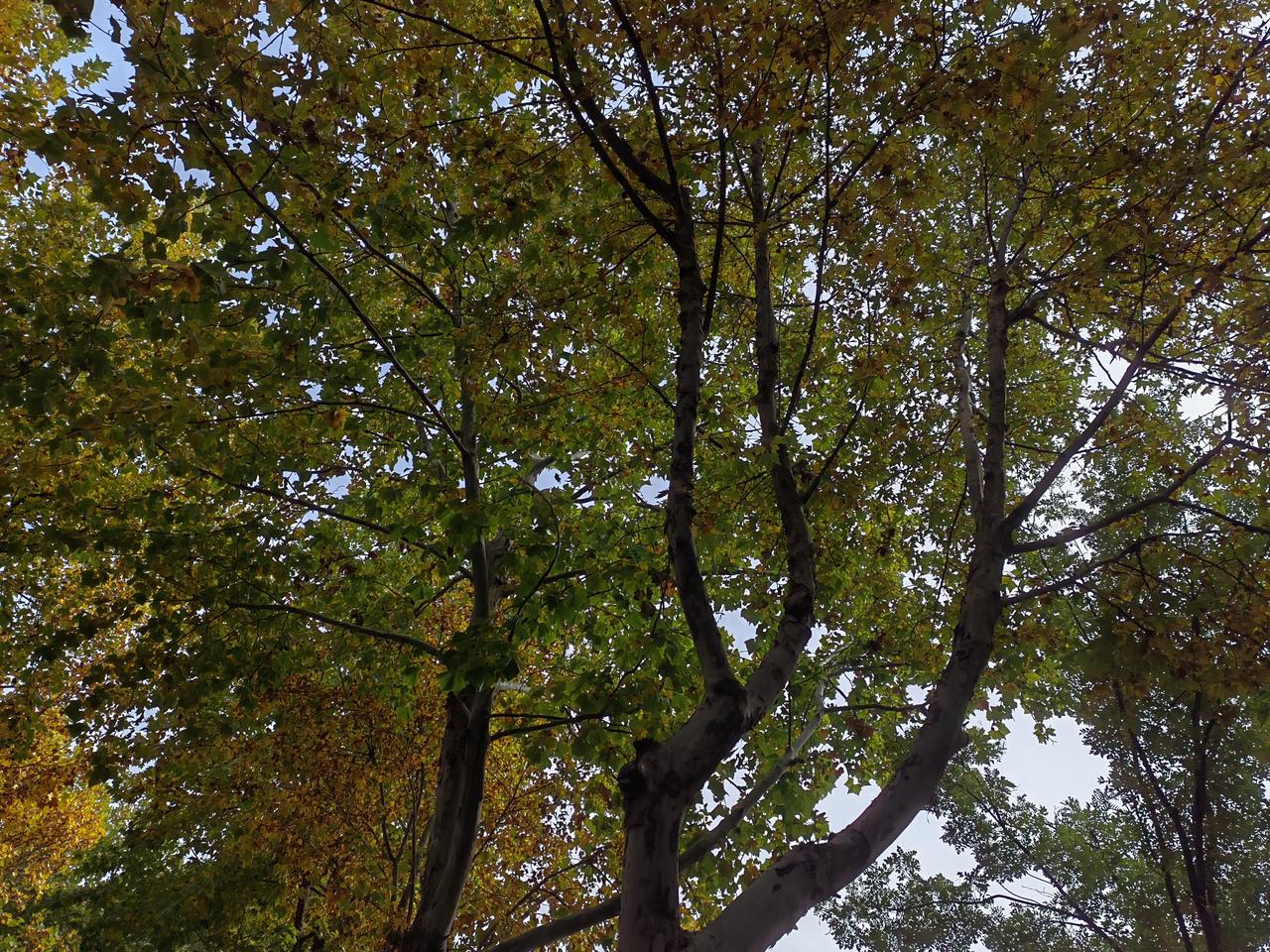 有人说吸烟喝酒者不长寿，有人证明吸烟喝酒者活了一百多。医生说吸烟者患肺癌概率大