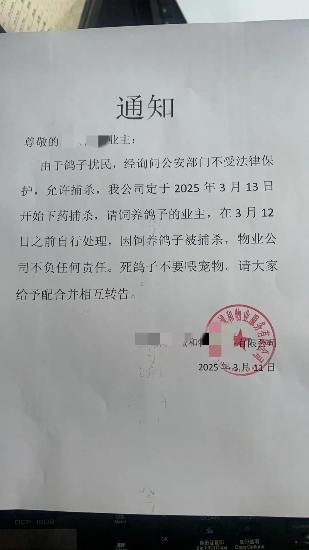 有个困扰的问题，困扰了我很多年。就是楼上的鸽子，每年不间断的孵化，左一窝，右