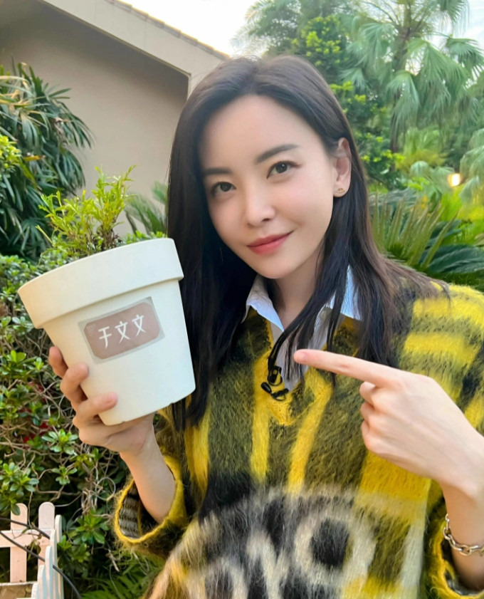 于文文的颜值什么水平？