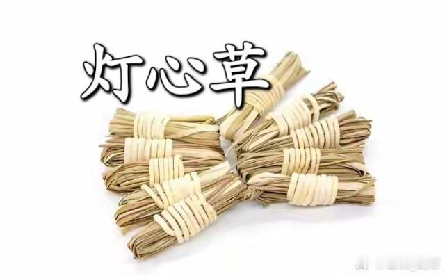 以通为清的中医智慧：不起眼的灯心草，为何是泻心火的引路人？或问：“灯心能除心热，