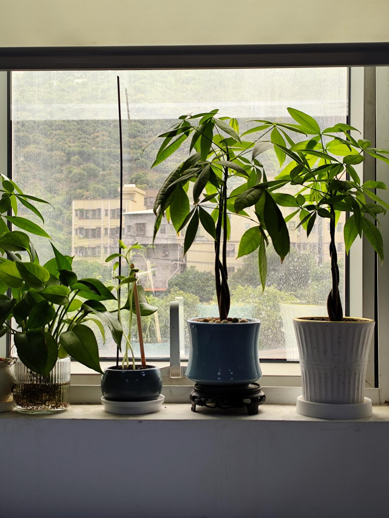 不要天真，这个世界比什么都现实。当你有利用价值的时候，朋友是最多的；当你一文