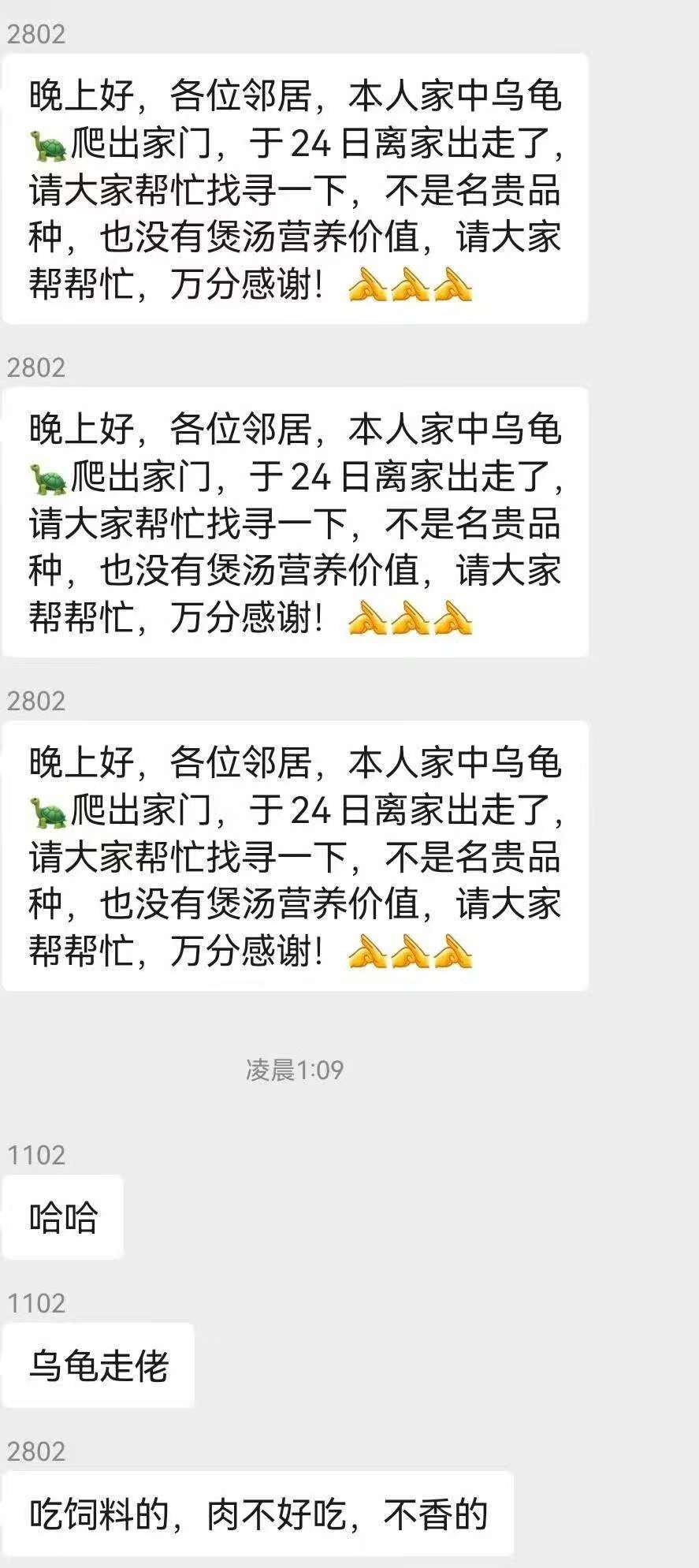 不愧是广东佬的业主群​​​