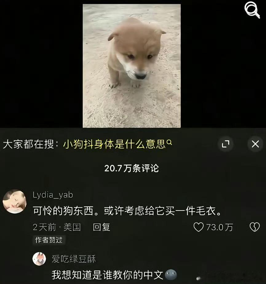 到底是谁教她的中文
