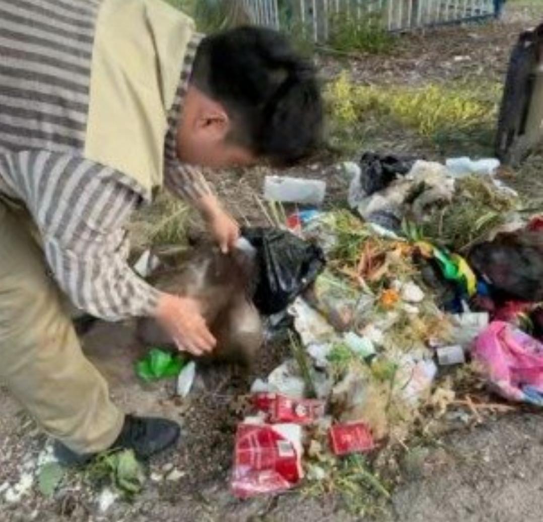 190元榴莲仅退款，商家驱车1600公里找上门，这事太解气！真的被这事儿惊