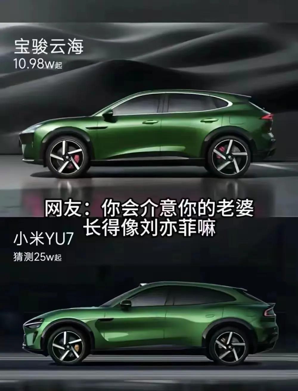 小米仿的是法拉利，宝骏仿的是小米，雅迪也出个仿仿宝骏，来个1000多法拉小宝雅