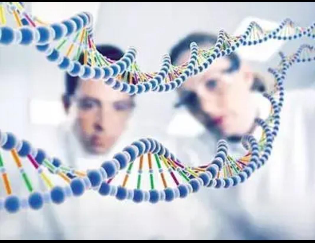 我家就很明显，孩子的性格和行为习惯真会遗传。我家俩娃，老大就像他爸，做事沉稳，遇