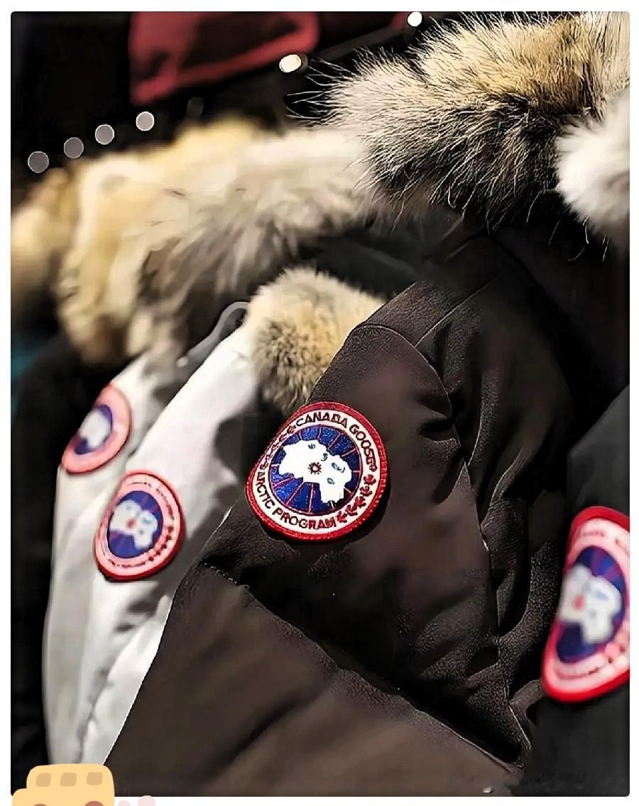 海南封关后，万元加拿大鹅低至7000元。前几天去海口保税店逛，正好听见保安