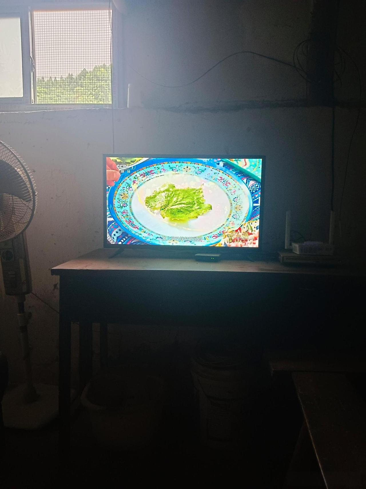 这环境真的太差了吧