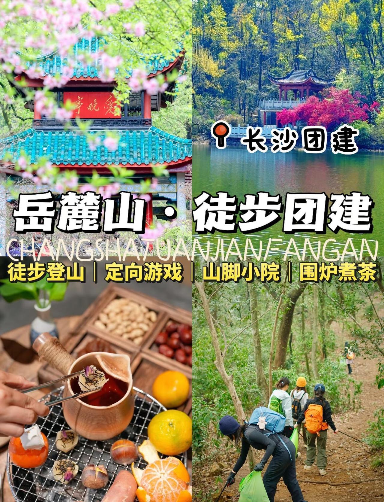 长沙团建：岳麓山徒步+综艺式团建❗被夸爆长沙团建|徒步团建|长沙团建拓