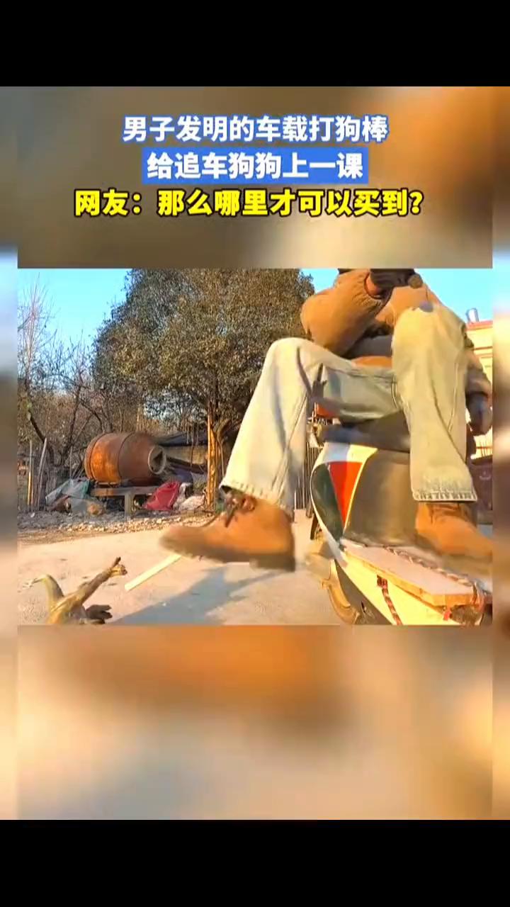 男子发明的车载打狗棒，给追车狗狗上一课。网友：那么哪里才可以买到？