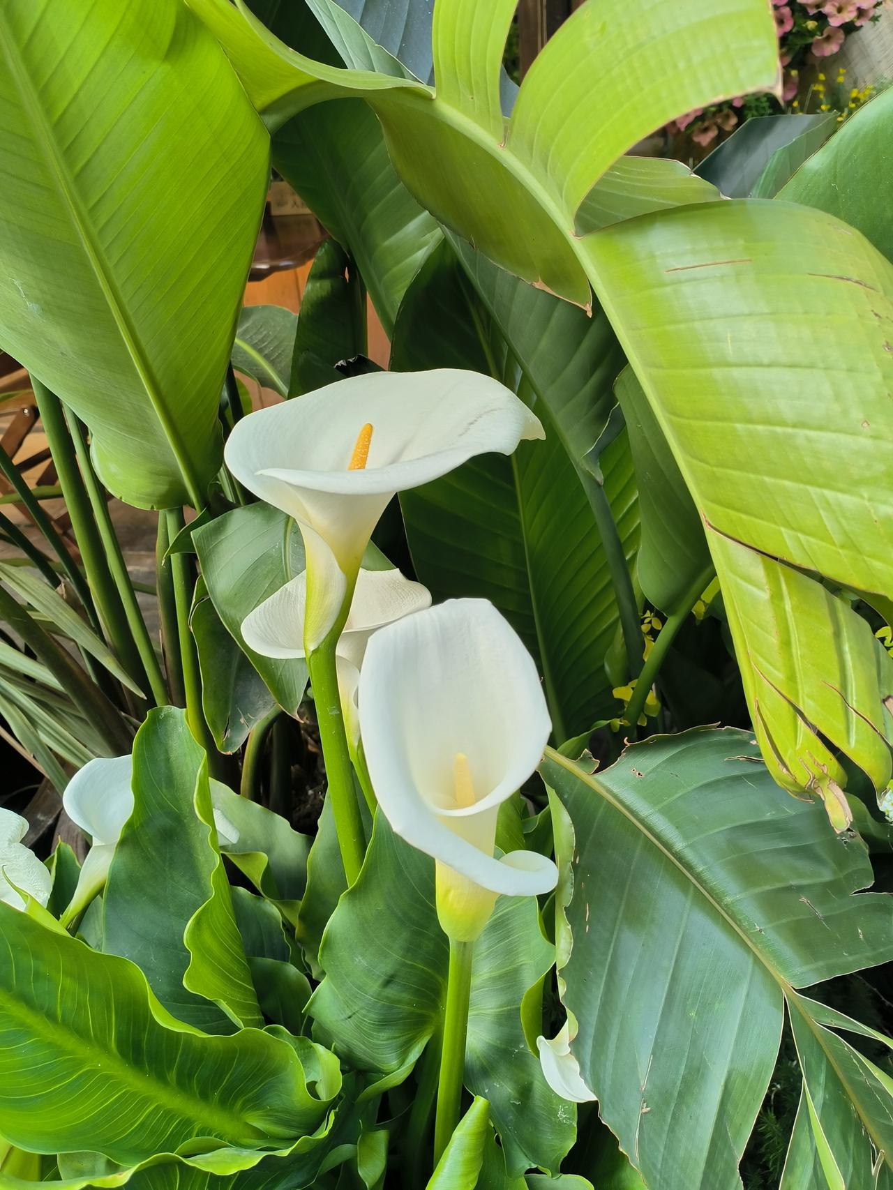 奉劝大家，别轻易给人做媒去年，我姑姑在广场舞队认识了个老姐妹，对方天天跟她