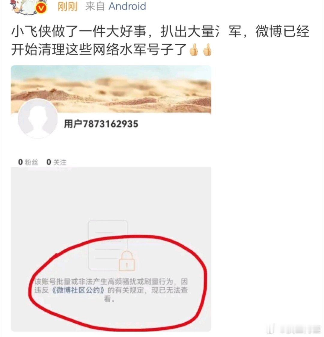 虽然某些人初心是坏的，但是意外被小飞侠执行好了。反正不就是要清理网络黑水军吗，经