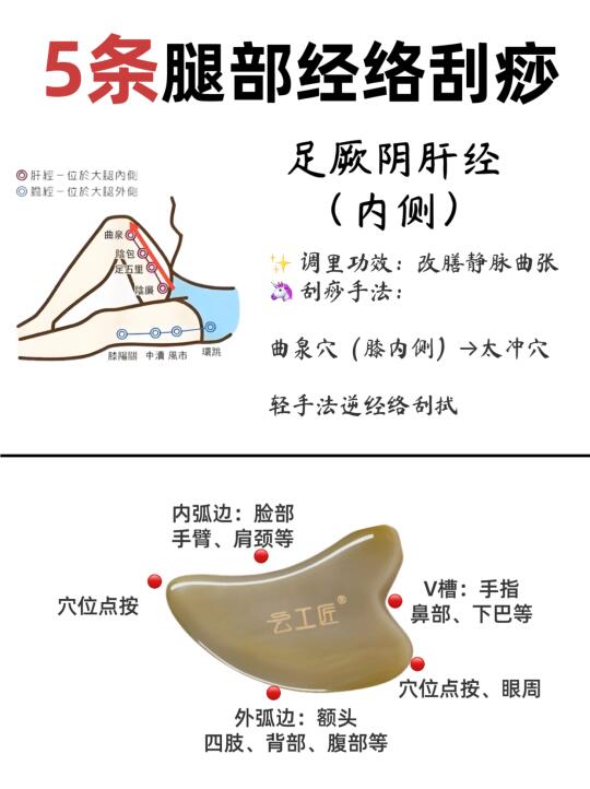 🌟 5条腿部经络｜消水仲+痩腿+排䓯 🦵