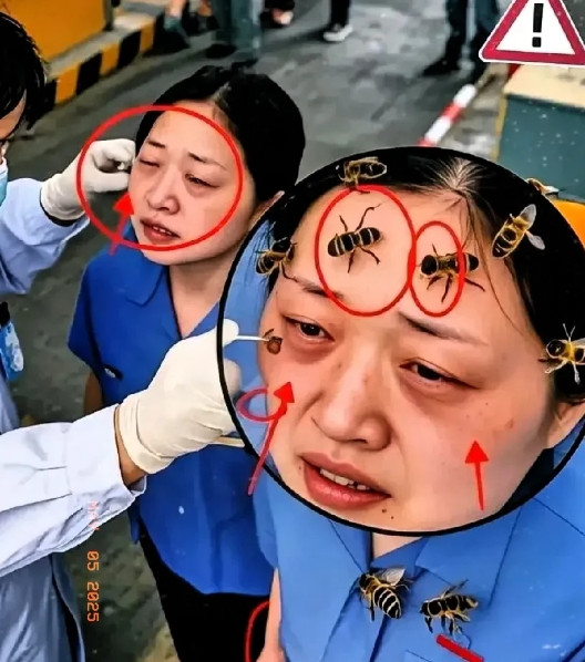 农夫赶着去城里卖一箱蜂蜜，路过收费站时，农夫急忙说：“师傅，我有急事，一箱蜂蜜赶