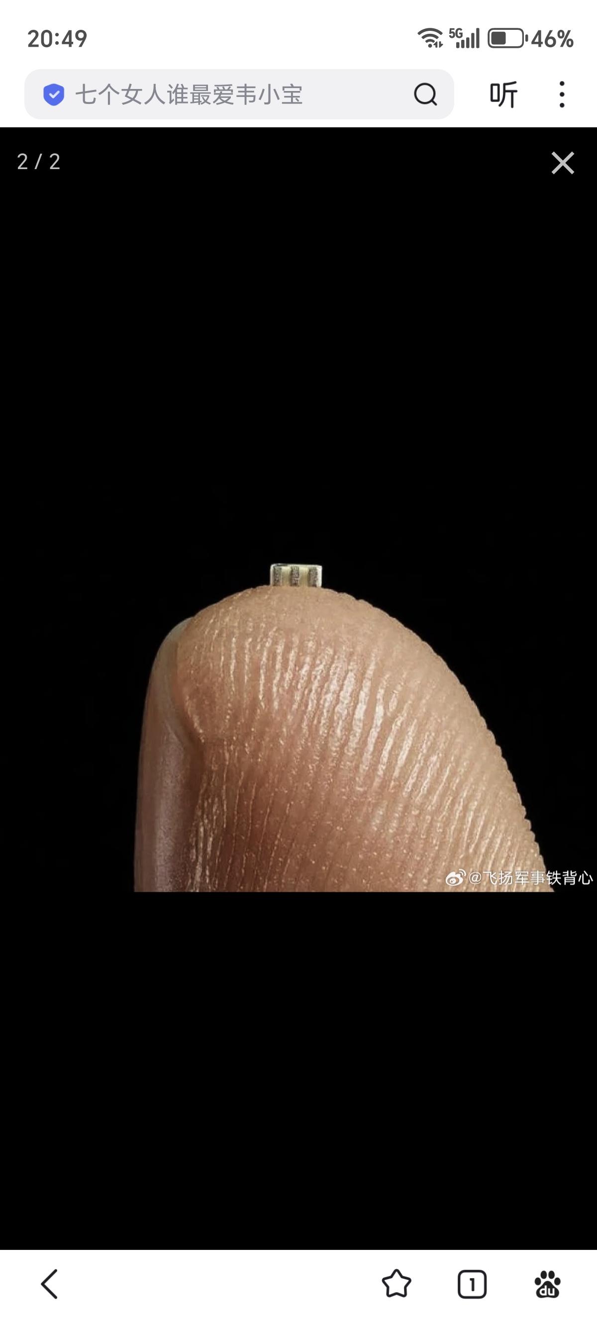 伊朗情报部门发现了精密的间谍设备——体积小巧、技术先进的电子芯片——这些装置被藏