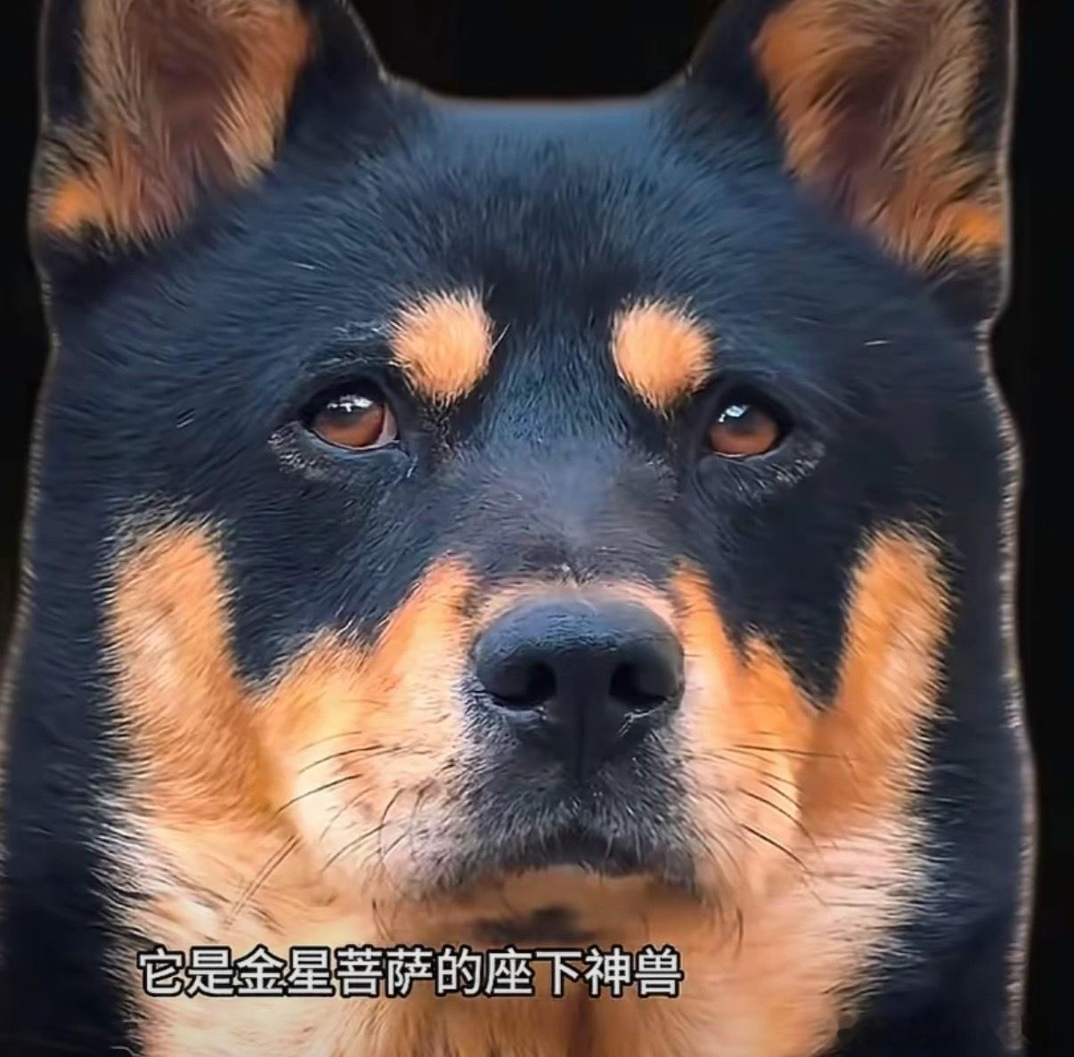 还挺会挑地方