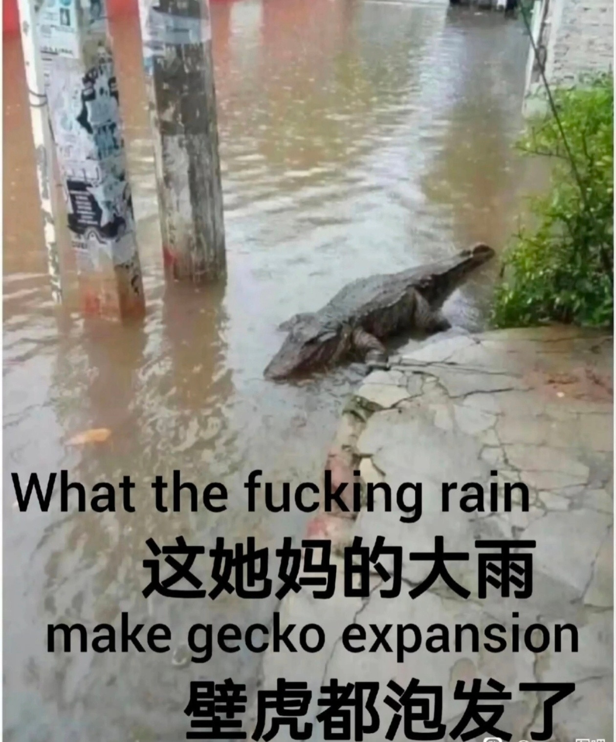艹