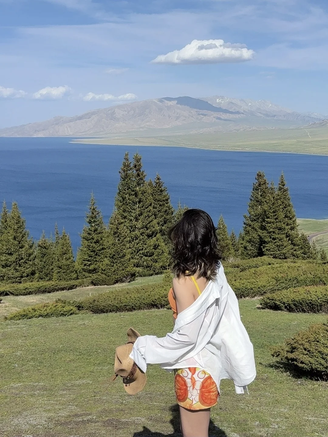 赛里木湖松树头🌲🐿️