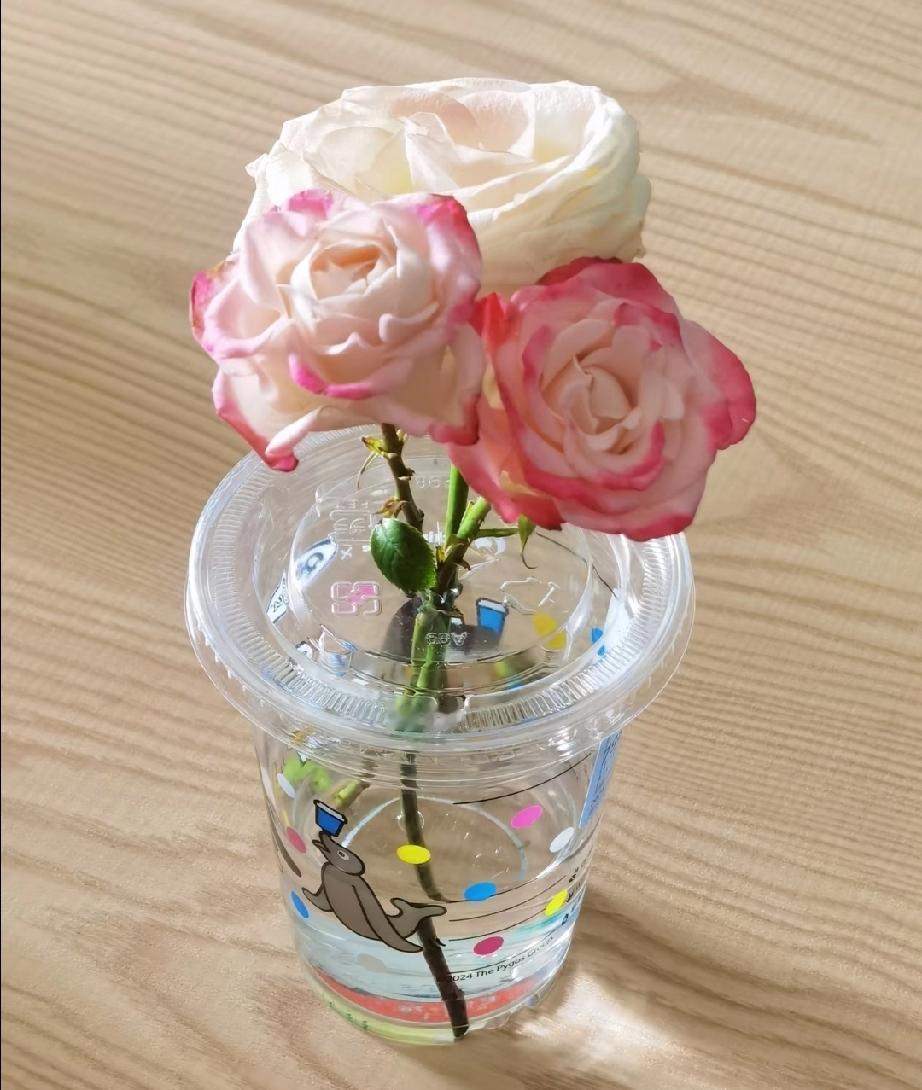 早段时间同事孩子过生日，叫我们去她家吃饭，我也去了，但是吃完饭我一分钟都不想坐下
