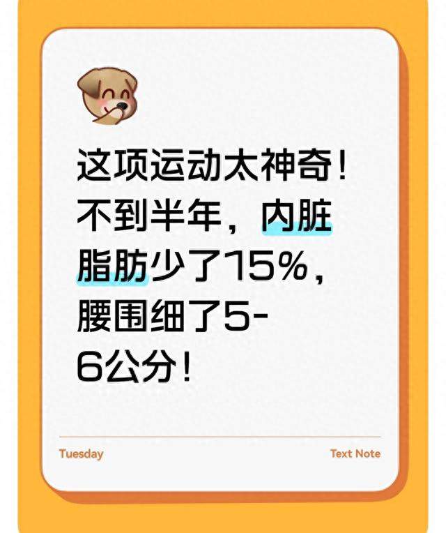 半年减15%内脏脂肪! 这种“龟速”运动让腰围神秘消失