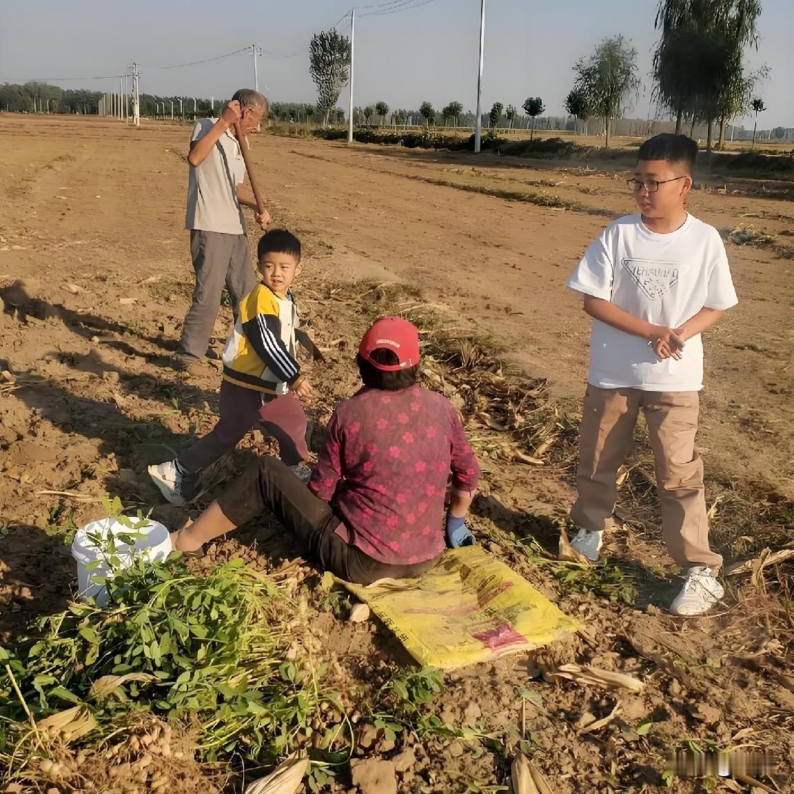 又到了收花生的季节。小时候放学后，我们要带着小镢头，去收过花生的地里，二次刨捡没