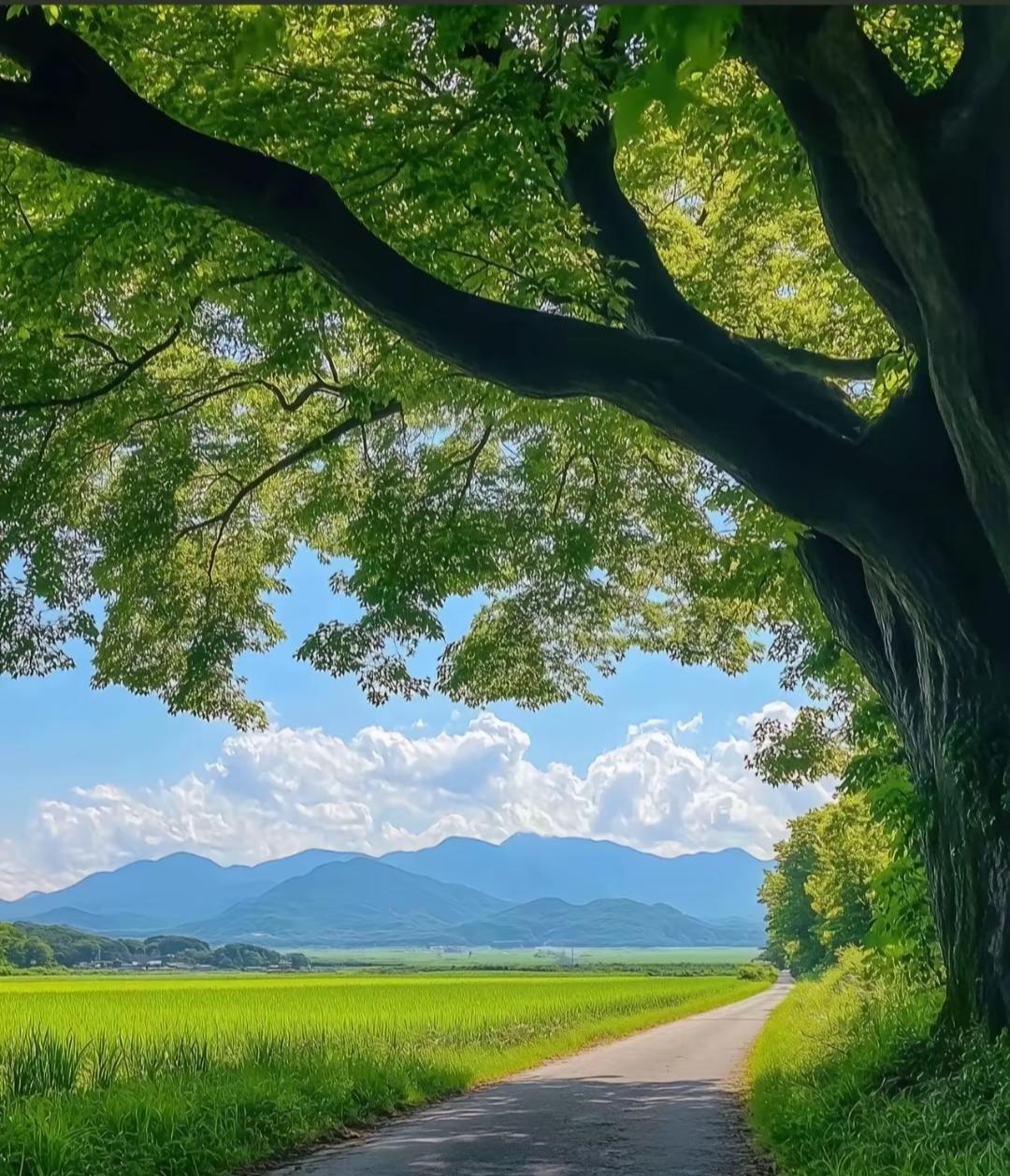 我邻居小赵碰到了糟心事小赵，今年36岁，儿子才三岁半今天早上送儿子上幼儿园的