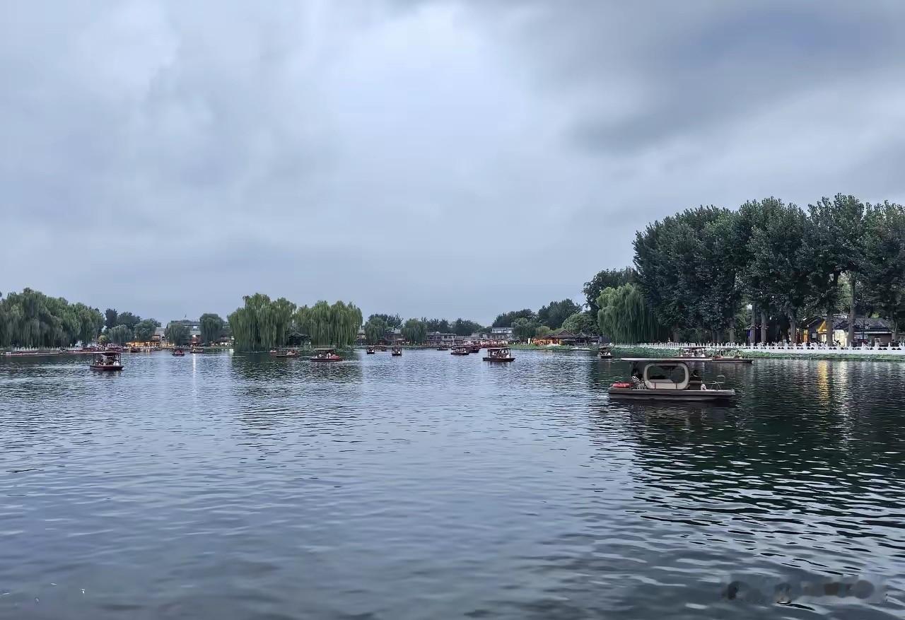 这下好了，疯狂英语李阳都建议全面取消传统英语教育。​他的理由很简单——目前学校