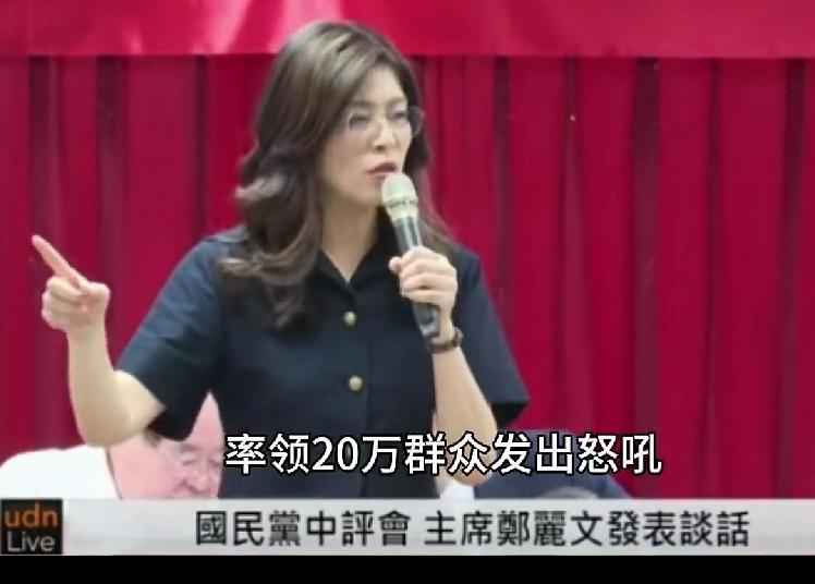 从“好人团队”到“狮群”——凯道20万人的怒吼，给了国民党一次重生的机会郑丽