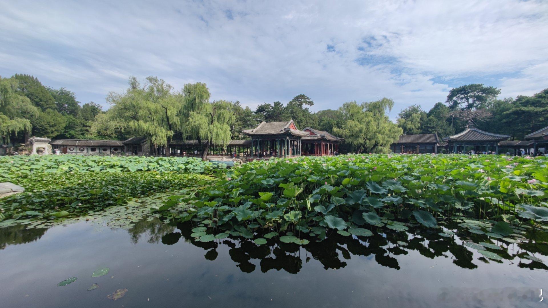 北京颐和园谐趣园荷花盛景摄影​​​