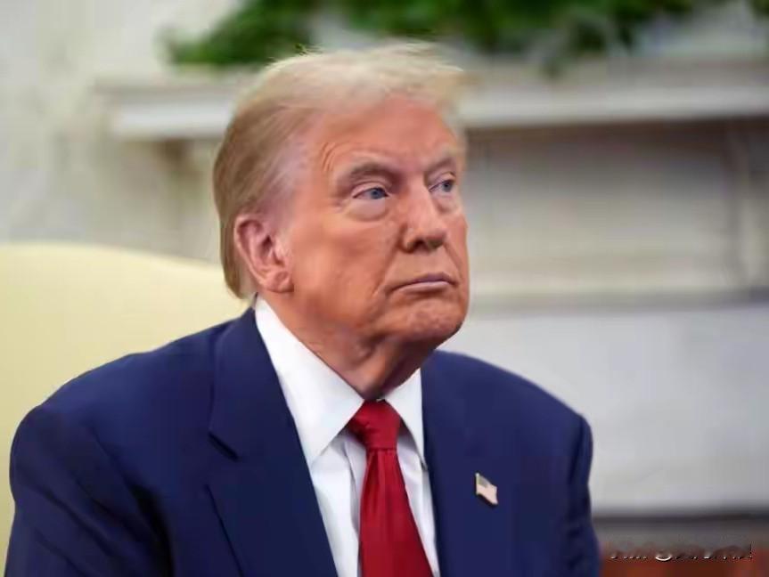 刚刚外国一军事专家表示如果中国现在打台湾特朗普绝对不会出手因为特朗普明白