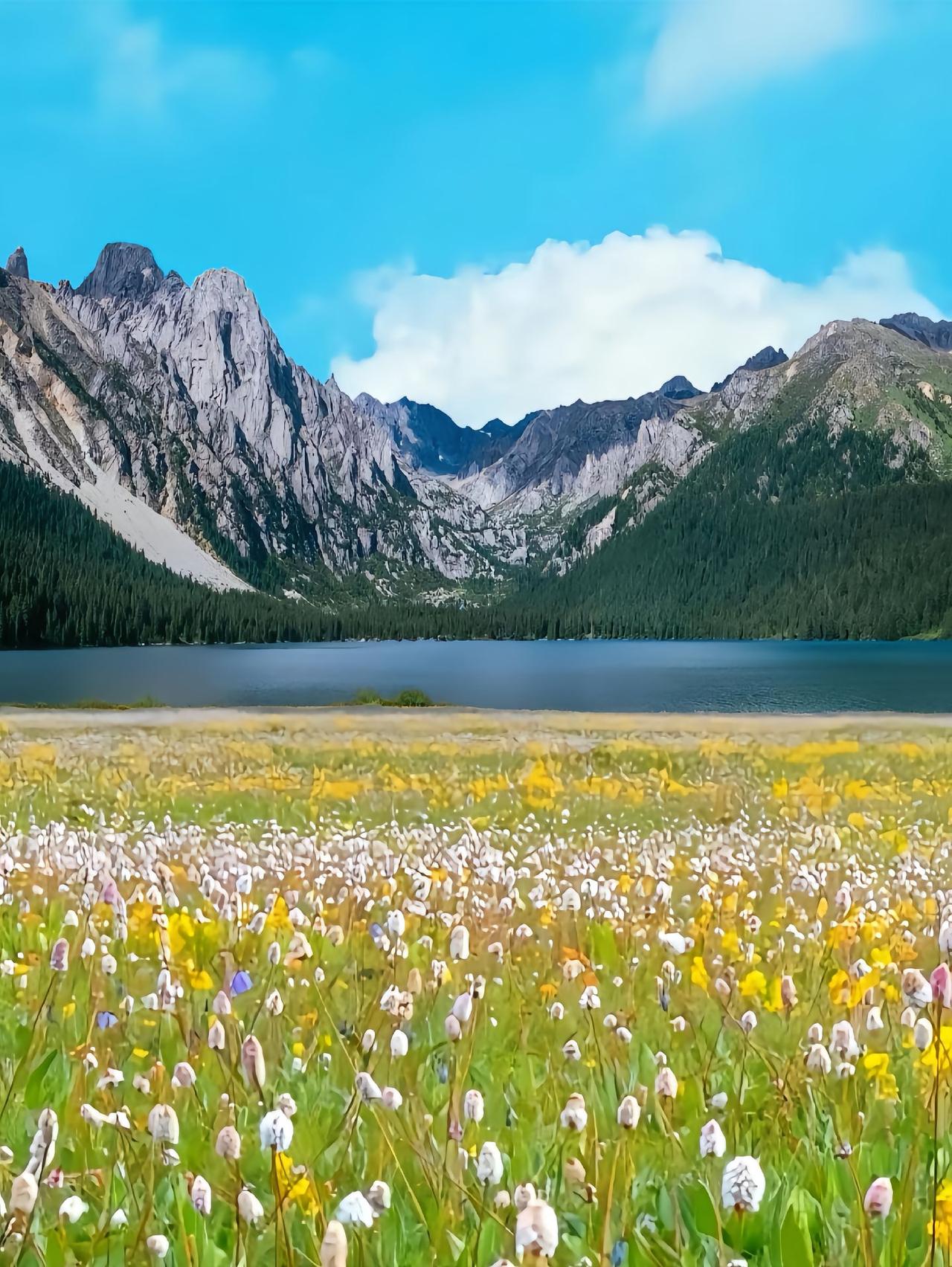 最近几天接了几个高三的学生，都是最后冲刺的阶段，数学出了问题！女孩子到高中后，最