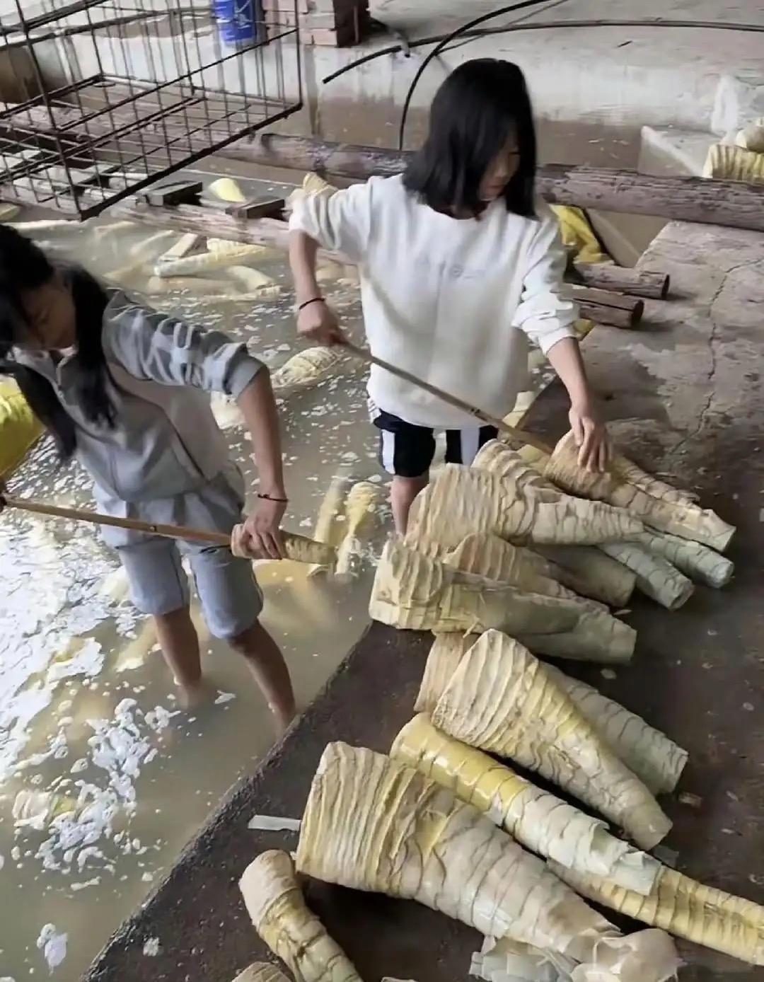 这是什么