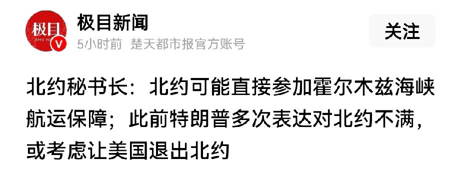 北约：可能直接参与霍尔木兹海峡护航。“美国爸爸”昨天已进行严肃谈话，“北约儿子