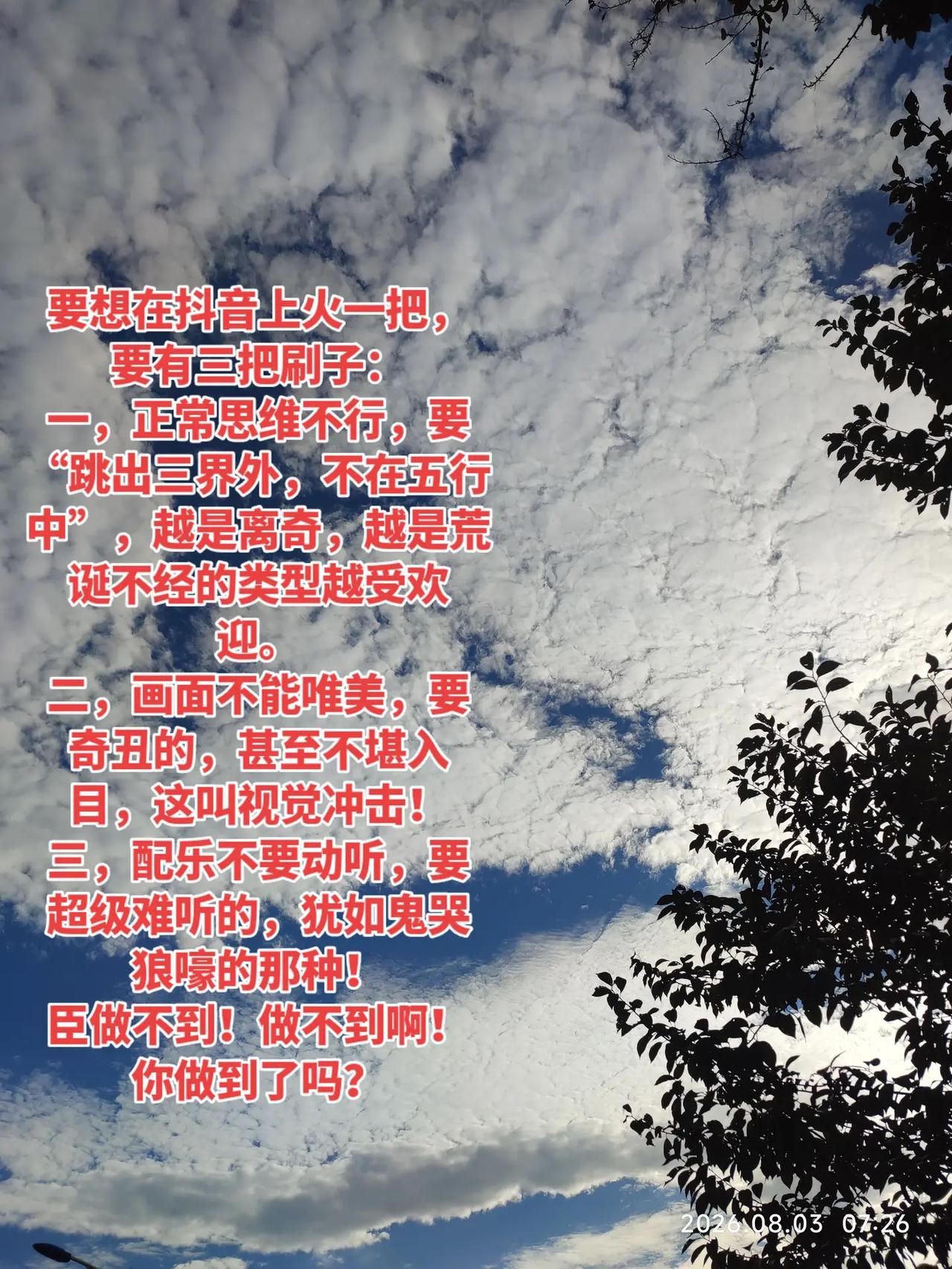 你做到了吗皮一下很开心
