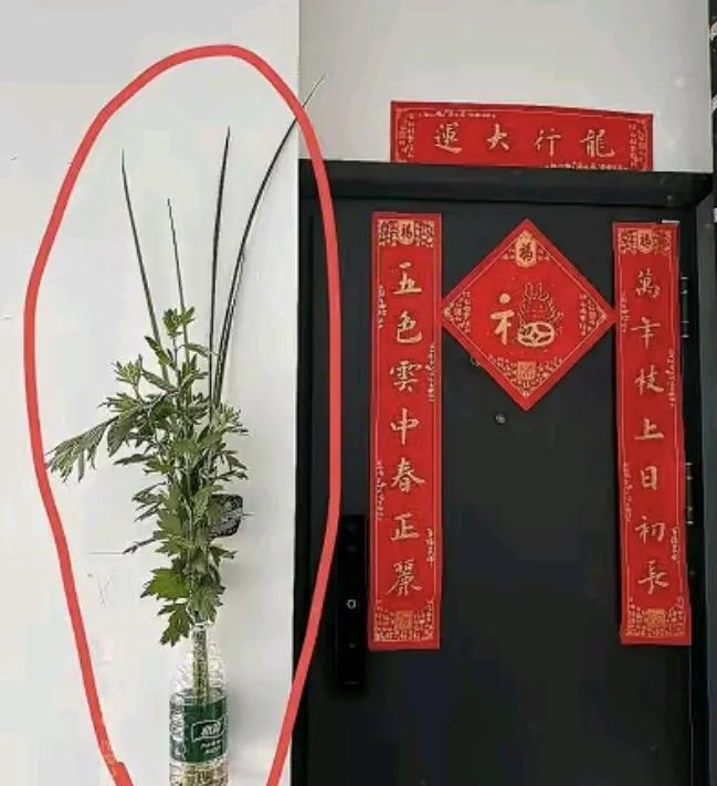 花5元买了把艾草挂在门口，老公夸我脑子好使，这艾草挂的好！可是没过十分钟，就尴尬