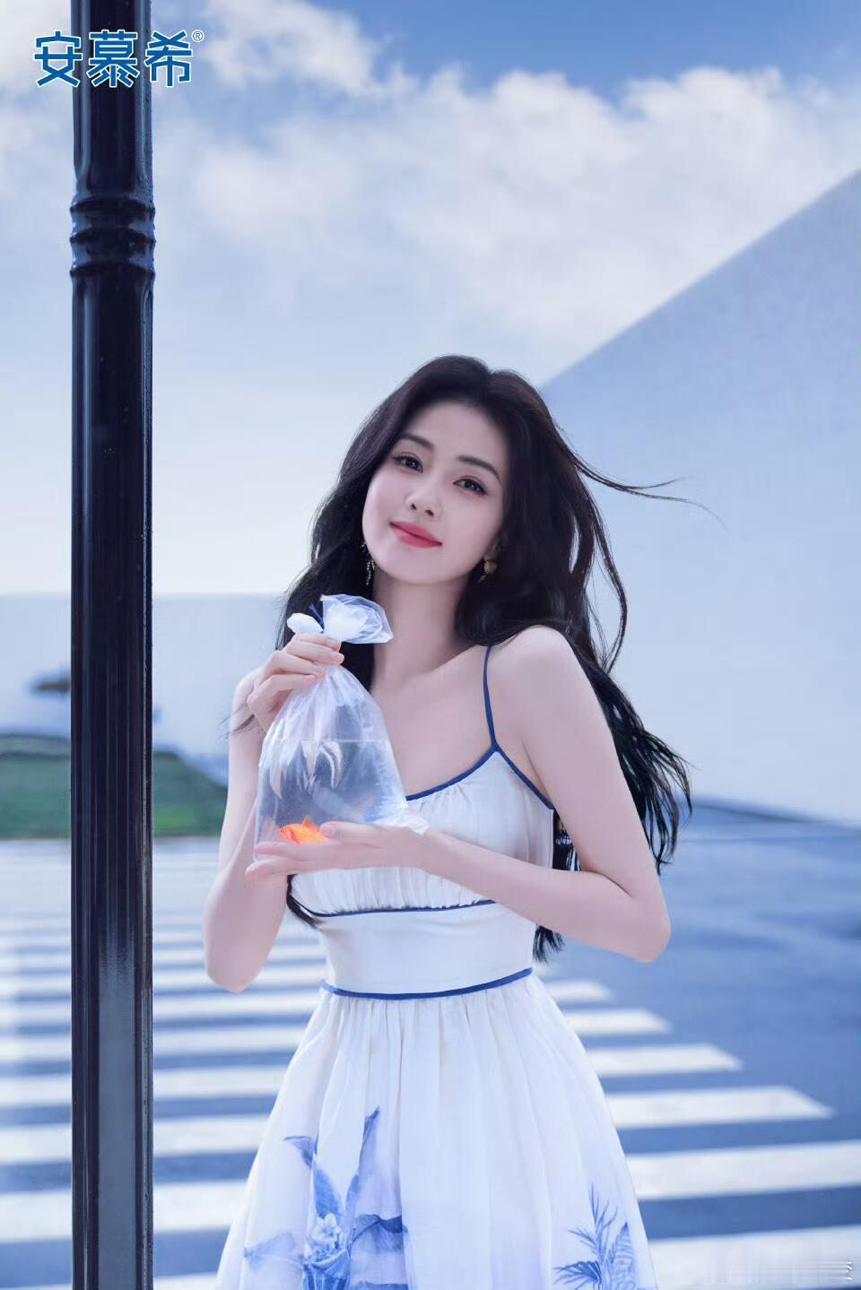 白鹿安慕希版白鹿白鹿｜